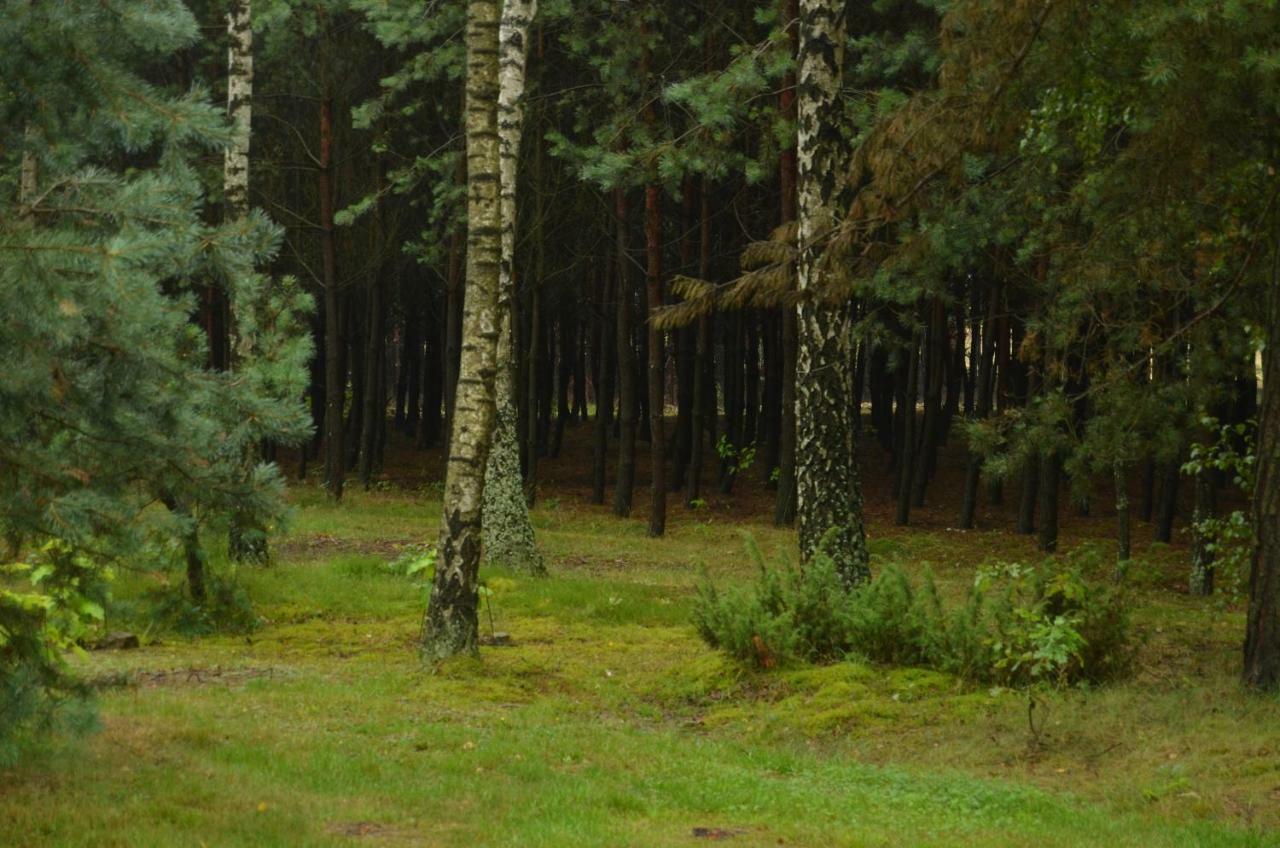 Вилла Zofijowka Осьякув Экстерьер фото