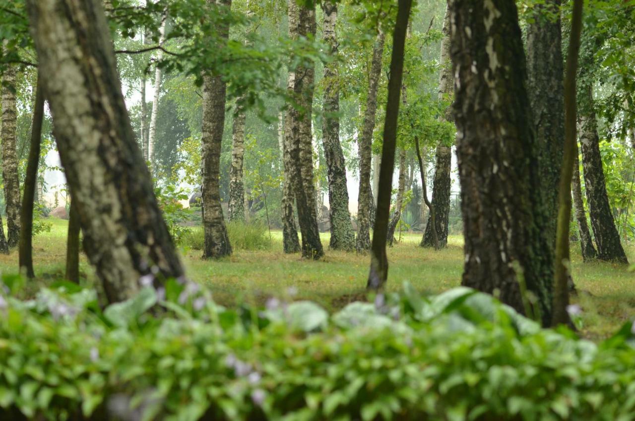Вилла Zofijowka Осьякув Экстерьер фото